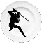 Logo:ninja on a dish